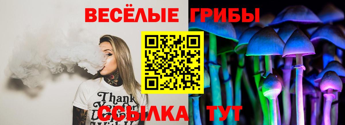 продажа наркотиков  Вход с VPN  Галлюциногенные грибы MAGIC MUSHROOMS  Беслан  Галлюциногенные грибы GOLDEN TEACHER 